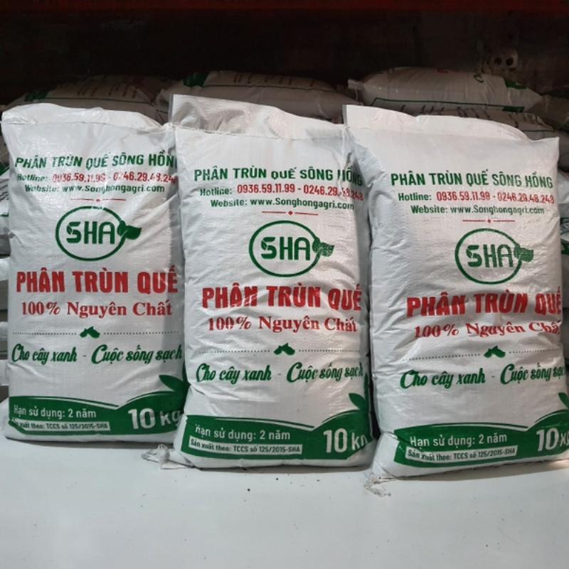 Các thành phần phổ biến trong đất trồng cây bao gồm xơ dừa, trấu hun, phân trùn quế và đất xử lý giúp cải thiện chất lượng đất